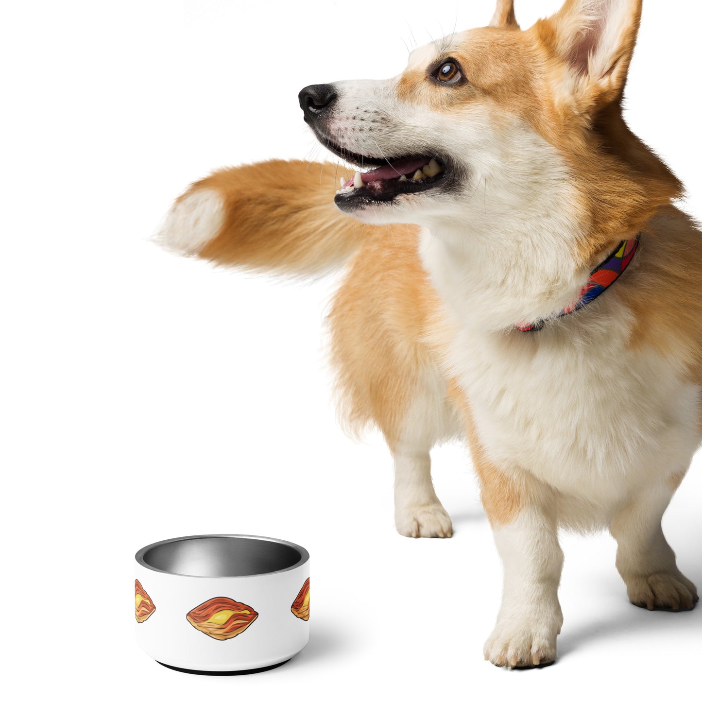 Pastizzi Pet Bowl - Malta